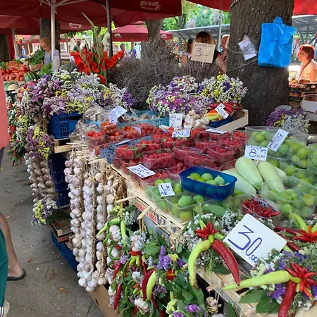 Vikendica The Sleepy Sea *