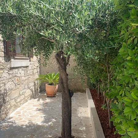 The Sleepy Sea プーラ